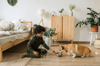 6 Simple Pet Care Essentials That Make Life Easier