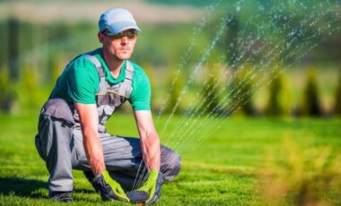 Essential Tips for Maintaining a Lush and Healthy Lawn Year Round