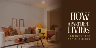 How Apartment Living Can Increase Bed Bug Risks