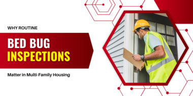 Why Routine Bed Bug Inspections Matter in Multi Family Housing