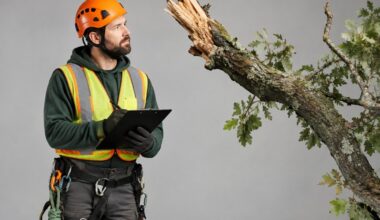 Storm Response Planning for Tree Service Companies in Philadelphia Pennsylvania
