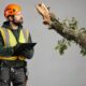 Storm Response Planning for Tree Service Companies in Philadelphia Pennsylvania
